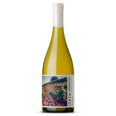 Vino De Martino Ungrafted Itata Muscat 750cc