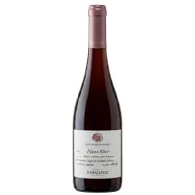 Vino Errázuriz Aconcagua Costa Pinot Noir 750cc
