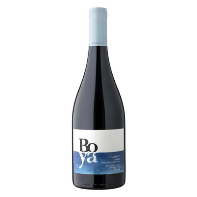 Vino Garcés Silva Boya Cabernet Franc 750cc