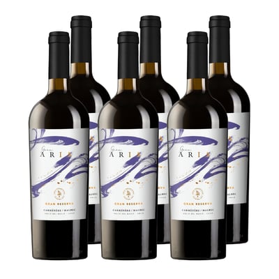 Vino Gran Aria Gran Reserva Carmenere - Malbec 750cc x6
