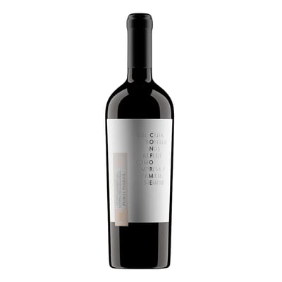 Vino Puntí Ferrer Conforme Cabernet Sauvignon 750cc