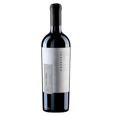 Vino Punti Ferrer Conforme Carmenere 750cc