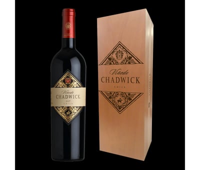 Vino Viñedo Chadwick 2022 Cabernet Sauvignon - 750ml