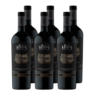 X6 Vino 1865 Double Barrel Cabernet Sauvignon 750cc ($12.690 C/U)