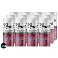 12x Coctel MG Spirit Blueberry 330cc 5.5°alc.