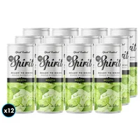 12x Coctel MG Spirit Mojito 330cc 5.5°alc.