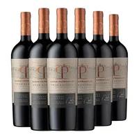 6x Vino Casas Patronales Gran Reserva Cabernet Sauvignon - 750ml