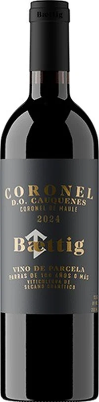 Baettig Coronel Ensamblaje Tinto 2024