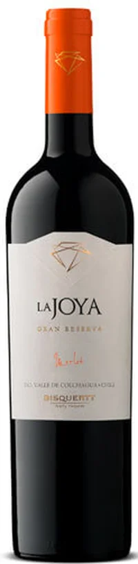 Bisquertt La Joya Merlot Gran Reserva 2020