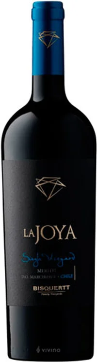 Bisquertt La Joya Single Vineyard Merlot 2019