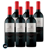 CAJA 1865 SINGLE VINEYARD (Cabernet Sauvignon): 6x Vino 1865 Single Vineyard Cabernet Sauvignon 750cc