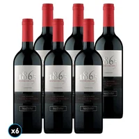 CAJA 1865 SINGLE VINEYARD (Carmenere): 6x Vino 1865 Single Vineyard Carmenere 750cc