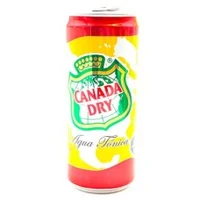 Caja 24 unidades Agua Tonica, Canada Dry,350 ml
