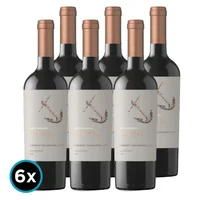 CAJA ODFJELL ANCLA: 6x Vino Odfjell Ancla Gran Reserva Cabernet Sauvignon 750cc