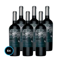 CAJA ODFJELL ORZADA (Carignan): 6x Vinos Odfjell Orzada Carignan 750cc
