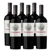 Caja X 6 Concha Y Toro Terrunyo Carmenere 750 Ml
