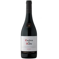 Casillero del Diablo Reserva Syrah
