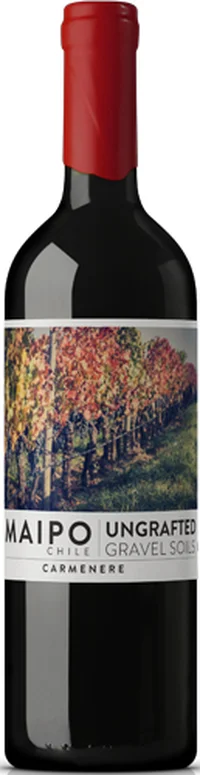 De Martino Ungrafted Carmenere 2023