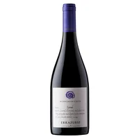 Errazuriz Aconcagua Costa Syrah 750 Ml