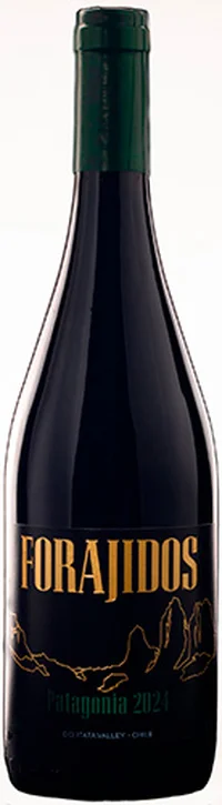 Forajidos Patagonia Cinsault 2024