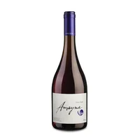 Garces Silva Amayna Premium Pinot Noir