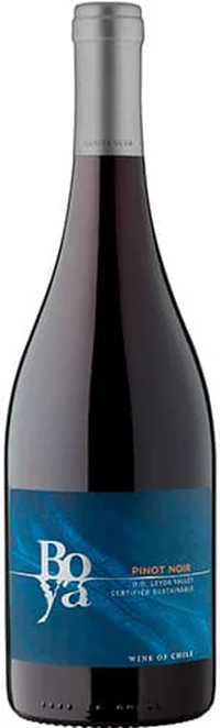 Garces Silva Boya Pinot Noir 2021