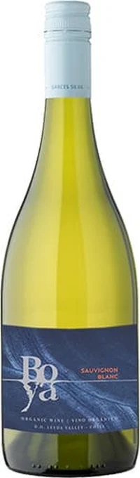 Garces Silva Boya Sauvignon Blanc 2025