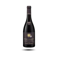 Gevrey Chambertin - Domaine Michel Magnien, Les Seuvrées VV, 2021