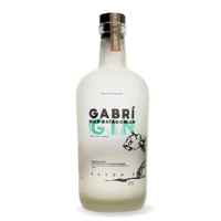 Gin Gabrí Wild Patagonia 40° 750cc