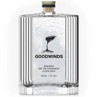 Gin Goodwinds