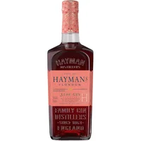 GIN HAYMANS SLOE