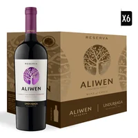 Pack 6x Vino Undurraga Aliwen Cabernet Sauvignon / Carmenere 750cc