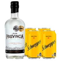 Pack Gin Provincia Andes Dry 700cc + 4x Schweppes Tónica Lata 350cc