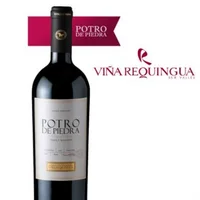 Potro De Piedra De Viña Requingua