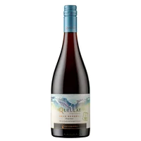 Queulat Single Vineyard Gran Reserva Pinot Noir 750 Ml