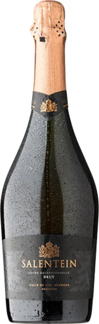 Salentein Espumante Brut 750cc