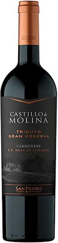 San Pedro Castillo De Molina Tributo Gran Reserva Carmenere 2022