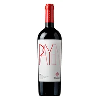 Tabali Payen Syrah 750 Ml