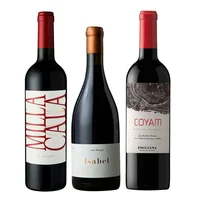 TRIO VIK - BAUZA - COYAM: 1x Vino Vik Milla Cala Ensamblaje 750cc + 1x Vino Orgánico COYAM 750cc + 1x Vino Ícono Casa Bauzá Isabel 750cc
