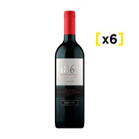 Vino 1865 Carmenere Botella 750cc X6