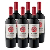 Vino Aliwen Cabernet Sauvignon Botella 750cc X6