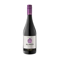 Vino Aliwen Pinot Noir Botella 750cc
