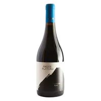 Vino Andes Plateau Cota 500 Syrah 750cc