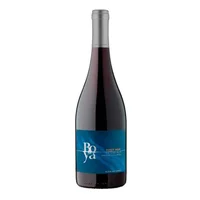 Vino Boya Pinot Noir 13.5° 750cc