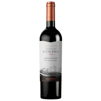 Vino Castillo de Molina Gran Reserva Cabernet Sauvignon 750 ml