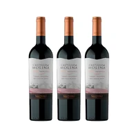 Vino Castillo De Molina Gran Reserva Cabernet Sauvignon Botella 750cc X3