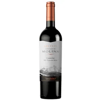 Vino Castillo de Molina Gran Reserva Carmenere 750 ml