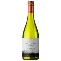 Vino Castillo de Molina Gran Reserva Sauvignon Blanc 750 ml