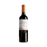 Vino Castillo de Molina Merlot 750cc
