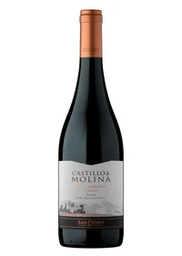 Vino Castillo de Molina Syrah 750cc